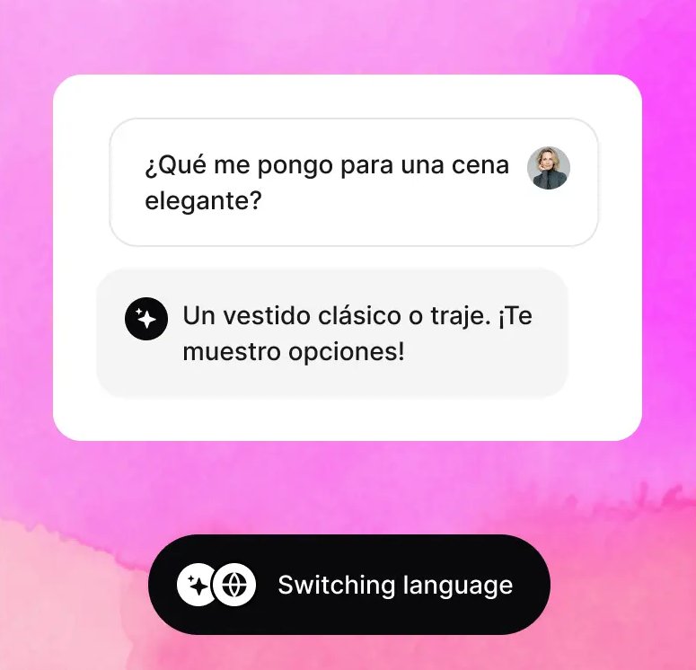 automatic language detection and translation