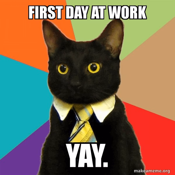 First day at work meme