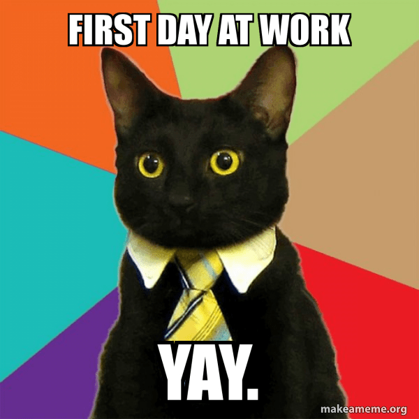 First day at work meme