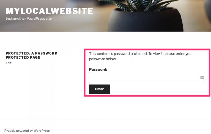 Front end view of password protected WordPress article