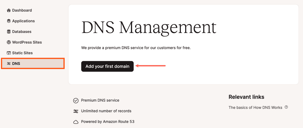 Kinsta's DNS management