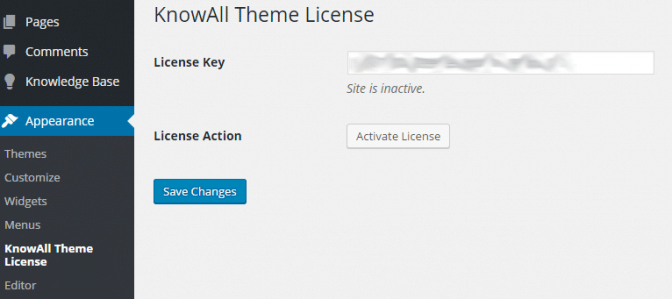 Enable automatic updates and support by entering your theme license code