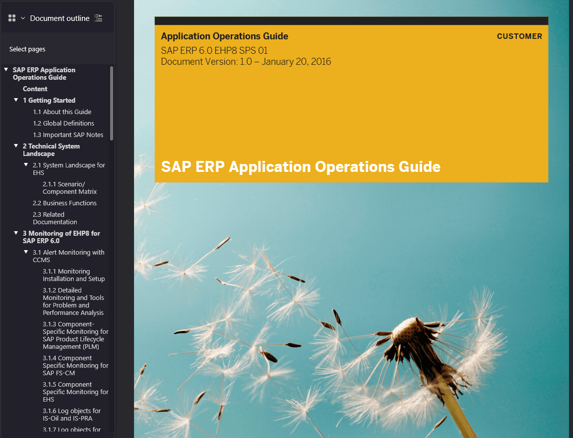 SAP ERP Software User Manual Example
