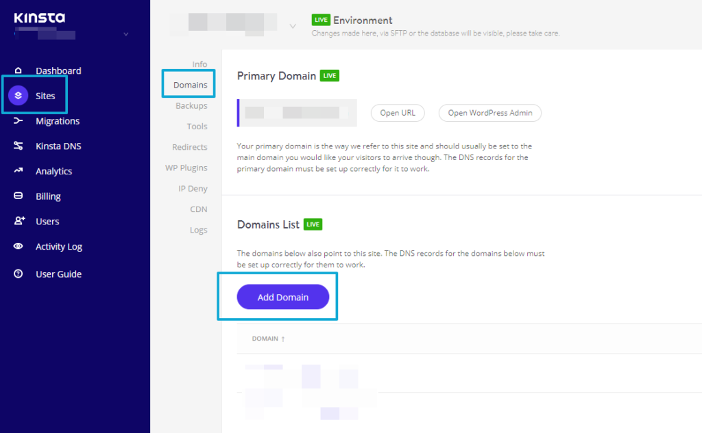 Kinsta add domain